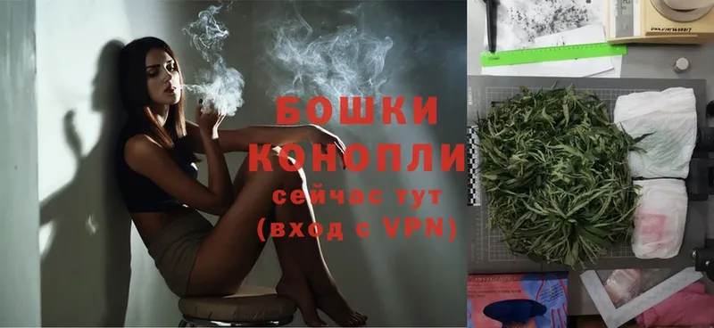 Марихуана SATIVA & INDICA  сколько стоит  Рузаевка 